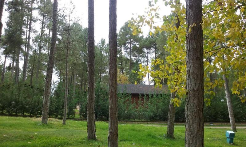 Camping Caravaning Cuenca Cuenca  Exterior photo