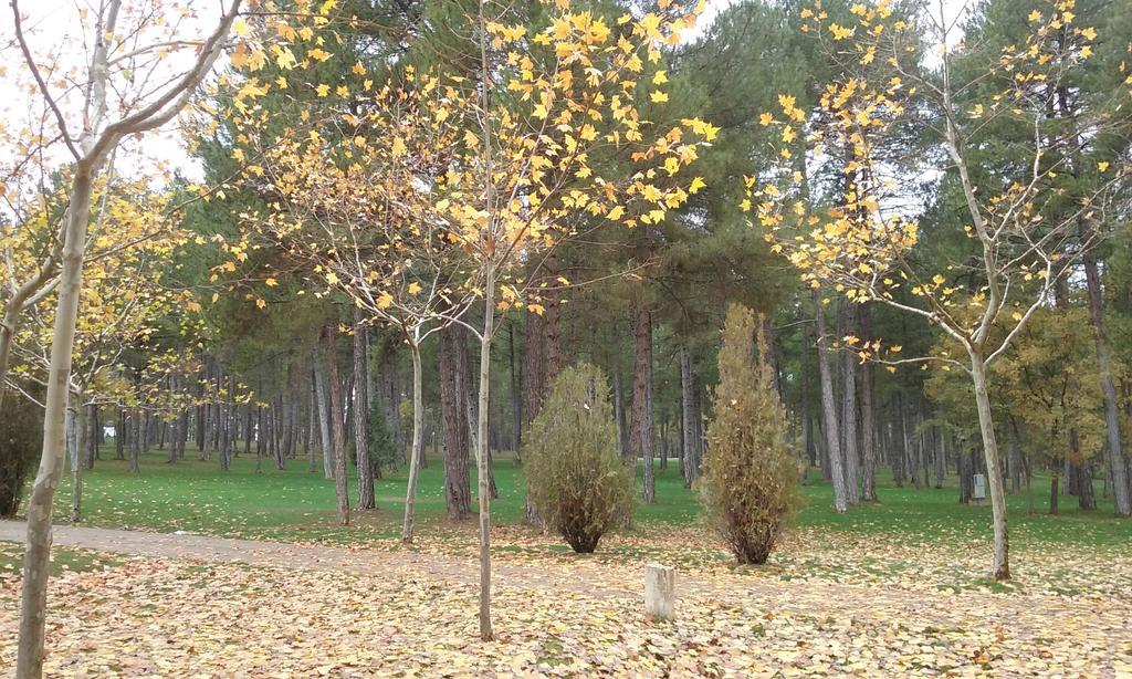 Camping Caravaning Cuenca Cuenca  Exterior photo